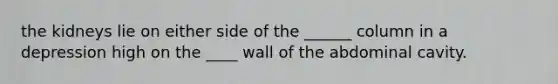 the kidneys lie on either side of the ______ column in a depression high on the ____ wall of the abdominal cavity.