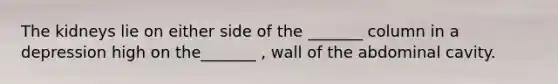 The kidneys lie on either side of the _______ column in a depression high on the_______ , wall of the abdominal cavity.