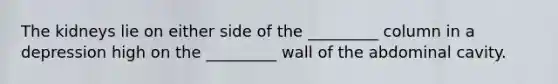 The kidneys lie on either side of the _________ column in a depression high on the _________ wall of the abdominal cavity.