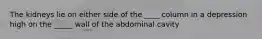 The kidneys lie on either side of the ____ column in a depression high on the _____ wall of the abdominal cavity