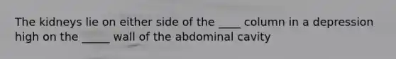 The kidneys lie on either side of the ____ column in a depression high on the _____ wall of the abdominal cavity