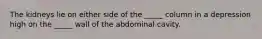 The kidneys lie on either side of the _____ column in a depression high on the _____ wall of the abdominal cavity.