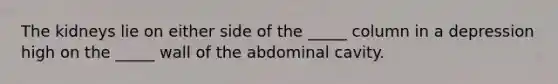 The kidneys lie on either side of the _____ column in a depression high on the _____ wall of the abdominal cavity.