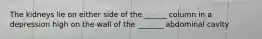 The kidneys lie on either side of the ______ column in a depression high on the wall of the _______ abdominal cavity