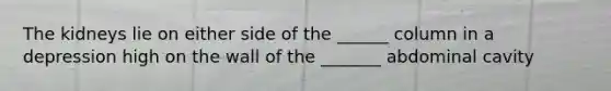 The kidneys lie on either side of the ______ column in a depression high on the wall of the _______ abdominal cavity