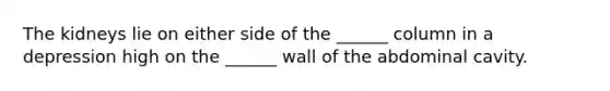 The kidneys lie on either side of the ______ column in a depression high on the ______ wall of the abdominal cavity.