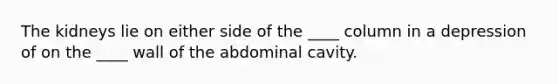 The kidneys lie on either side of the ____ column in a depression of on the ____ wall of the abdominal cavity.