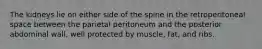 The kidneys lie on either side of the spine in the retroperitoneal space between the parietal peritoneum and the posterior abdominal wall, well protected by muscle, fat, and ribs.