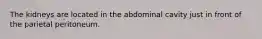 The kidneys are located in the abdominal cavity just in front of the parietal peritoneum.