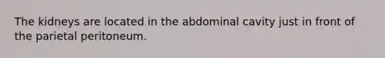 The kidneys are located in the abdominal cavity just in front of the parietal peritoneum.