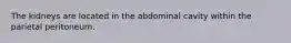 The kidneys are located in the abdominal cavity within the parietal peritoneum.