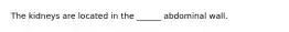 The kidneys are located in the ______ abdominal wall.