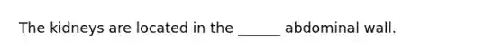 The kidneys are located in the ______ abdominal wall.