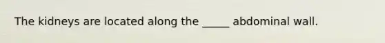 The kidneys are located along the _____ abdominal wall.