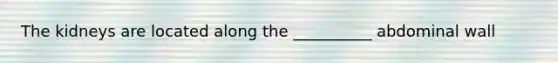 The kidneys are located along the __________ abdominal wall