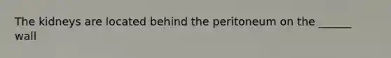 The kidneys are located behind the peritoneum on the ______ wall