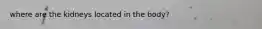 where are the kidneys located in the body?