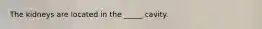 The kidneys are located in the _____ cavity.