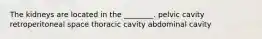 The kidneys are located in the ________. pelvic cavity retroperitoneal space thoracic cavity abdominal cavity