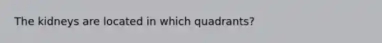 The kidneys are located in which quadrants?