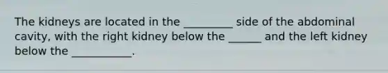The kidneys are located in the _________ side of the abdominal cavity, with the right kidney below the ______ and the left kidney below the ___________.