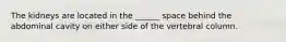 The kidneys are located in the ______ space behind the abdominal cavity on either side of the vertebral column.