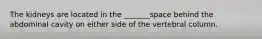 The kidneys are located in the _______space behind the abdominal cavity on either side of the vertebral column.