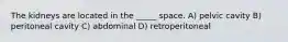 The kidneys are located in the _____ space. A) pelvic cavity B) peritoneal cavity C) abdominal D) retroperitoneal