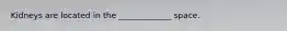 Kidneys are located in the _____________ space.