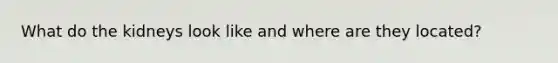 What do the kidneys look like and where are they located?