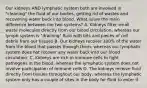 Our kidneys AND lymphatic system both are involved in "cleaning" the fluid of our bodies, getting rid of wastes and recovering water back into blood. What is/are the main difference between the two systems? A. Kidneys filter small waste molecules directly from our blood circulation, whereas our lymph system is "draining" fluid with bits and pieces of cell debris from our tissues B. Our kidneys recover 100% of the water from the blood that passes through them, whereas our lymphatic system does not recover any water back into our blood circulation. C. Kidneys are rich in immune cells to fight pathogens in the blood, whereas the lymphatic system does not involve participation of immune cells D. The kidneys receive fluid directly from tissues throughout our body, whereas the lymphatic system only has a couple of sites in the body for fluid to enter it