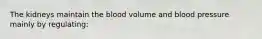 The kidneys maintain the blood volume and blood pressure mainly by regulating: