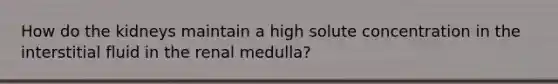 How do the kidneys maintain a high solute concentration in the interstitial fluid in the renal medulla?