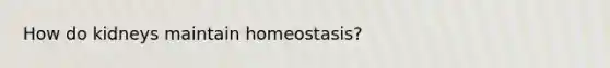 How do kidneys maintain homeostasis?