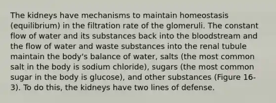 The kidneys have mechanisms to maintain homeostasis (equilibrium) in the filtration rate of the glomeruli. The constant flow of water and its substances back into the bloodstream and the flow of water and waste substances into the renal tubule maintain the body's balance of water, salts (the most common salt in the body is sodium chloride), sugars (the most common sugar in the body is glucose), and other substances (Figure 16-3). To do this, the kidneys have two lines of defense.