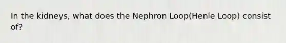 In the kidneys, what does the Nephron Loop(Henle Loop) consist of?