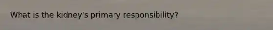 What is the kidney's primary responsibility?