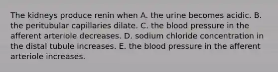 The kidneys produce renin when A. the urine becomes acidic. B. the peritubular capillaries dilate. C. the blood pressure in the afferent arteriole decreases. D. sodium chloride concentration in the distal tubule increases. E. the blood pressure in the afferent arteriole increases.