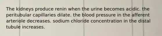 The kidneys produce renin when the urine becomes acidic. the peritubular capillaries dilate. the blood pressure in the afferent arteriole decreases. sodium chloride concentration in the distal tubule increases.