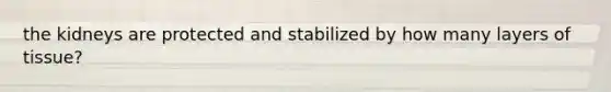 the kidneys are protected and stabilized by how many layers of tissue?