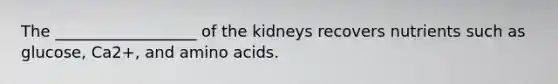 The __________________ of the kidneys recovers nutrients such as glucose, Ca2+, and amino acids.