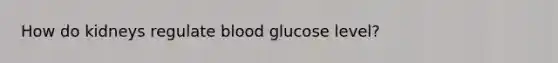 How do kidneys regulate blood glucose level?