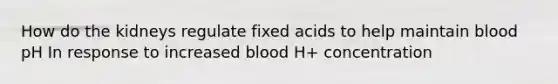 How do the kidneys regulate fixed acids to help maintain blood pH In response to increased blood H+ concentration