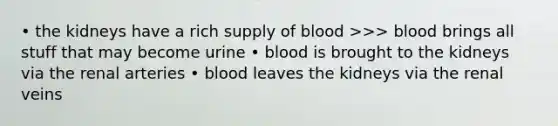 • the kidneys have a rich supply of blood >>> blood brings all stuff that may become urine • blood is brought to the kidneys via the renal arteries • blood leaves the kidneys via the renal veins