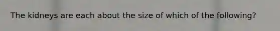 The kidneys are each about the size of which of the following?