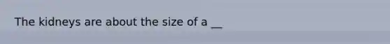 The kidneys are about the size of a __