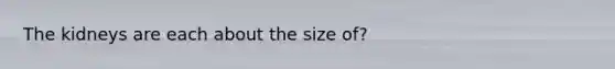 The kidneys are each about the size of?