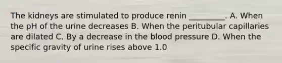 The kidneys are stimulated to produce renin _________. A. When the pH of the urine decreases B. When the peritubular capillaries are dilated C. By a decrease in the blood pressure D. When the specific gravity of urine rises above 1.0