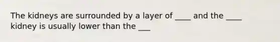 The kidneys are surrounded by a layer of ____ and the ____ kidney is usually lower than the ___
