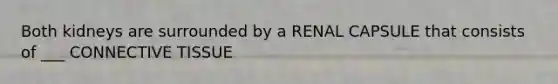 Both kidneys are surrounded by a RENAL CAPSULE that consists of ___ CONNECTIVE TISSUE